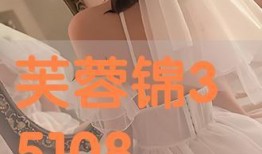 芙蓉锦 在线观看,穿越时空的华丽传奇在线观看